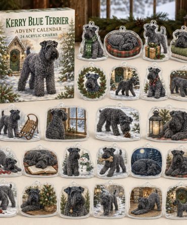 Kerry Blue Terrier Acrylic Charm Advent Calendar — 24 Holiday Dog Charms , Elegant Christmas Countdown For Terrier Fans