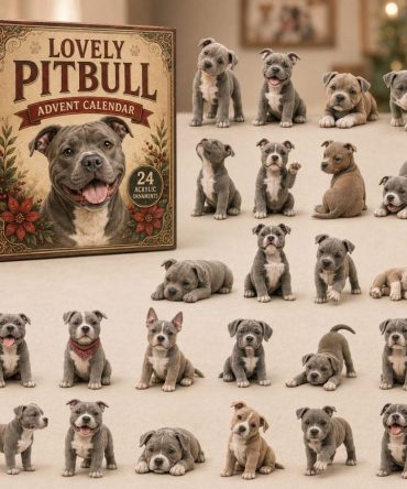 Lovely Pitbull 24-Day Charm Countdown Calendar - 2026 Acrylic Heartfelt Dog Gift Set For Pitbull Lovers & Collectors