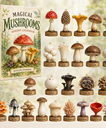 Magical Mushrooms 2026 Enchanted Advent Calendar - 24-Day Acrylic Mushroom Charms For Nature Lovers, Gifts & Home Decor