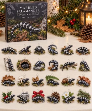 Marbled Salamander Advent Calendar - 24 Acrylic Charm Surprises, Holiday Countdown Gift For Amphibian Lovers & Collectors