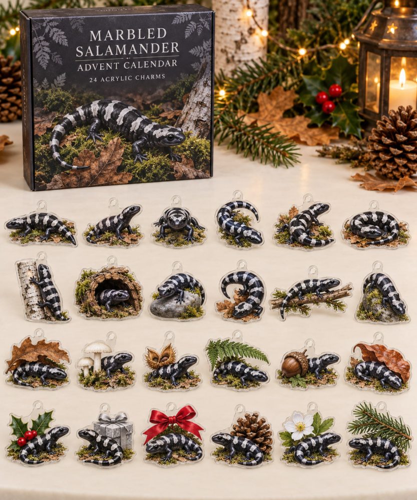 Marbled Salamander Advent Calendar - 24 Acrylic Charm Surprises, Holiday Countdown Gift For Amphibian Lovers & Collectors
