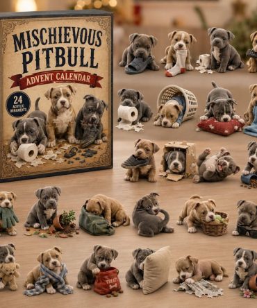 Mischievous Pitbull 24-Day Charm Countdown Calendar - 2026 Acrylic Playful Dog Set For Pitbull Fans & Collectors