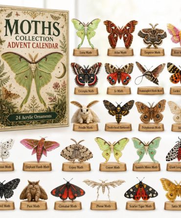 Limited Edition 2026 Moth Adventure Countdown — 24-Day Acrylic Charm Advent Calendar, Nature Collector Gift For Home & Kids