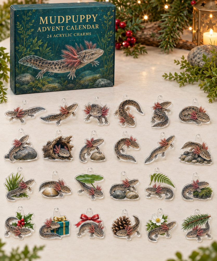 Mudpuppy Holiday Advent Calendar - 24 Acrylic Charm Surprises, Amphibian Countdown Gift Set For Animal Lovers