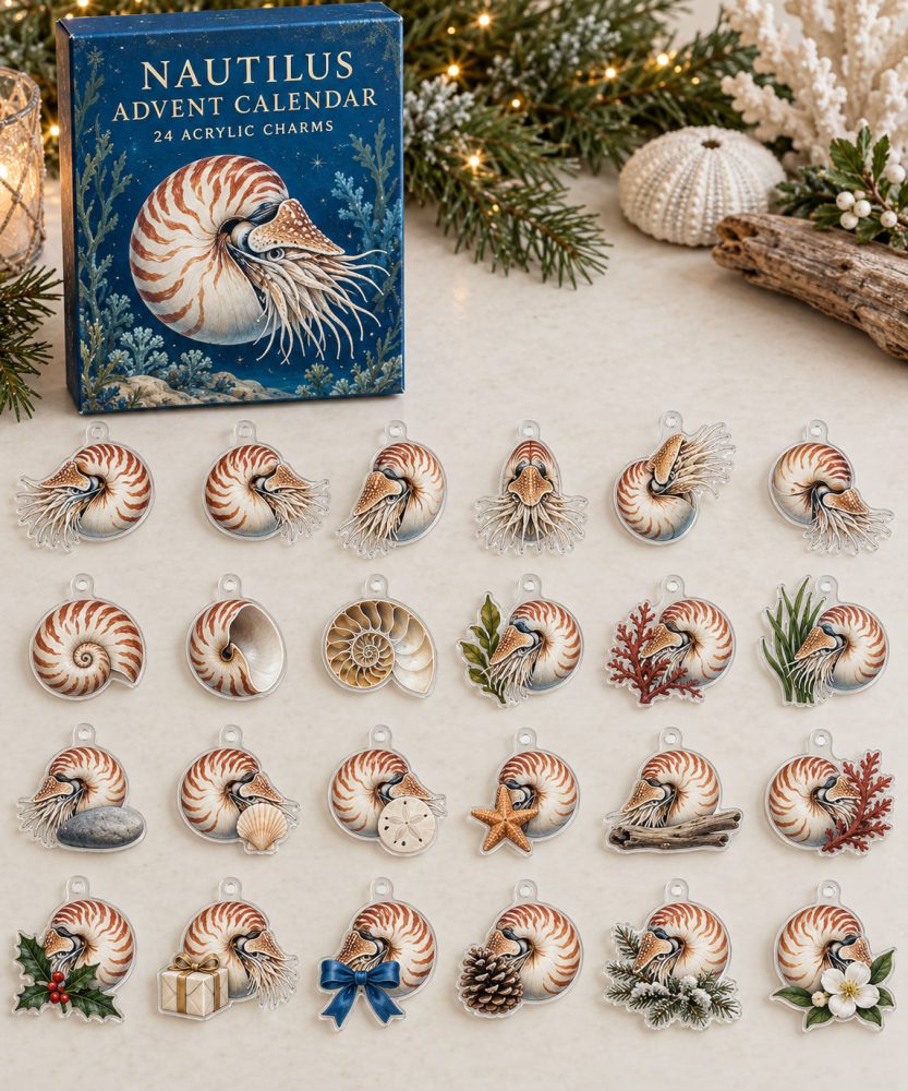 Premium Holiday Countdown Set — 24 Collectible Nautilus Acrylic Charms , Gift, Keychains, Stocking Stuffers