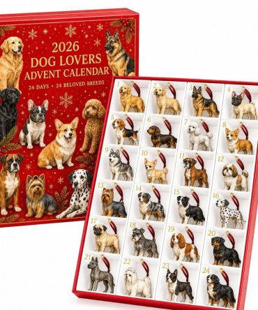 Pet Lover'S Christmas Countdown - 24-Day Acrylic Charm Advent Calendar With Cute Pet Ornaments, Holiday Gift 2026