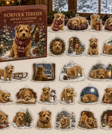 Norfolk Terrier Acrylic Charm Advent Calendar — 24 Holiday Dog Charms , Festive Christmas Countdown Gift For Terrier Fans