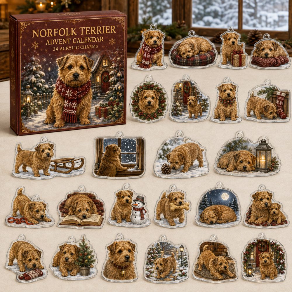 Norfolk Terrier Acrylic Charm Advent Calendar — 24 Holiday Dog Charms , Festive Christmas Countdown Gift For Terrier Fans