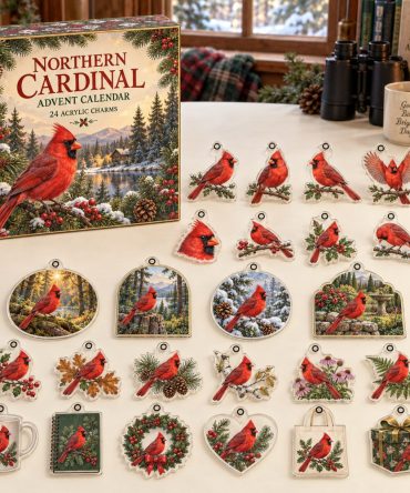 Northern Cardinal Acrylic Charm Holiday Countdown — 24 Collectible Advent Ornaments, Premium Gift For Bird Lovers