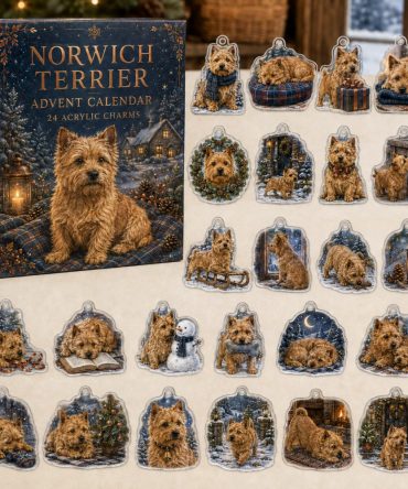 Norwich Terrier Holiday Advent Calendar — 24 Acrylic Dog Charms, Christmas Countdown Ornaments & Gift For Norwich Fans