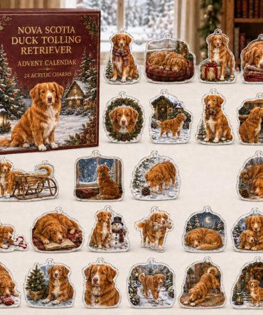 Nova Scotia Duck Tolling Retriever Holiday Advent — 24 Durable Acrylic Charms, Perfect Countdown Gift For Toller Owners & Collectors