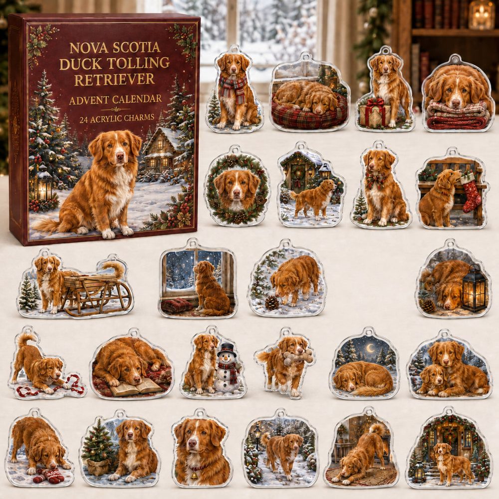 Nova Scotia Duck Tolling Retriever Holiday Advent — 24 Durable Acrylic Charms, Perfect Countdown Gift For Toller Owners & Collectors