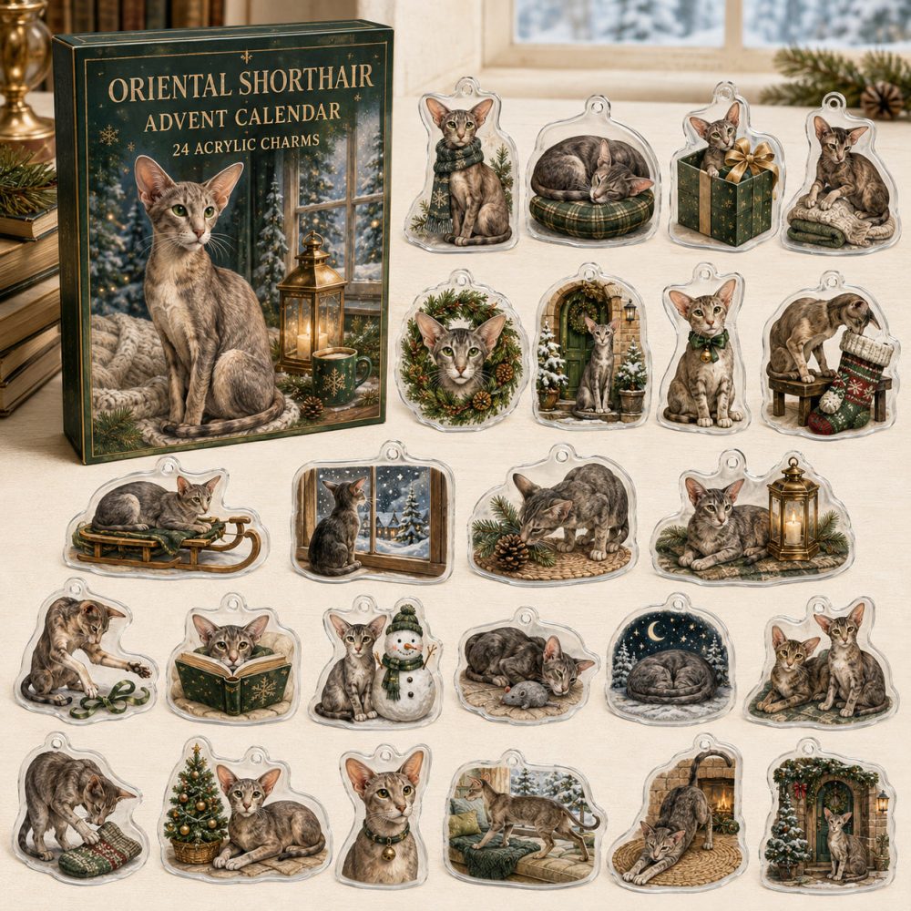 Oriental Shorthair Holiday Advent Calendar With 24 Acrylic Charms — Elegant Cat-Lover Gift, Seasonal Collectible Set