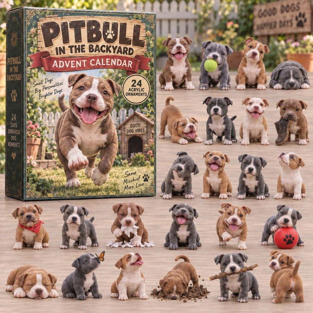 Pitbull In Backyard 24-Day Charm Countdown Calendar - 2026 Acrylic Garden-Themed Dog Gift For Home & Pet Lovers