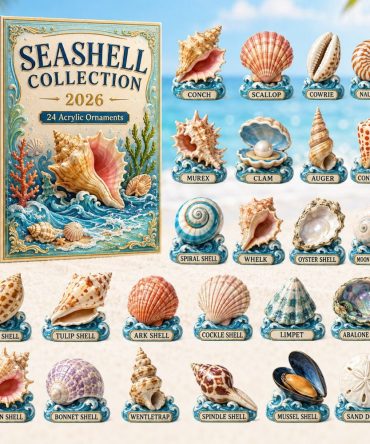 Seashell Collection 24-Day Advent Calendar 2026 With Acrylic Ocean Shell Charms — Beach Holiday Countdown Gift