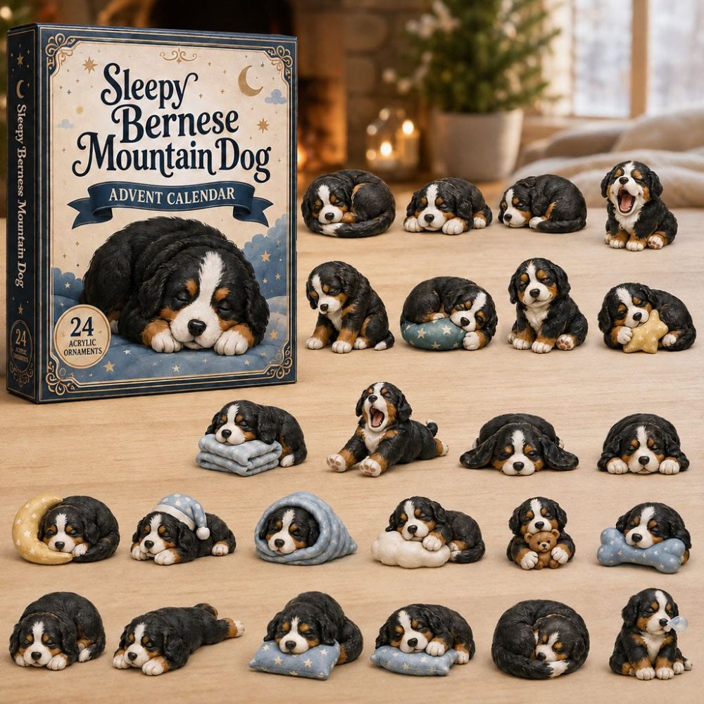 Sleepy Bernese Mountain Dog 2026 Advent Calendar — 24 Cozy Acrylic Charms, Dog Lover Countdown, Holiday Gift & Stocking Stuffer