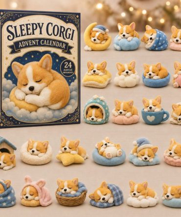 2026 Sleepy Corgi Holiday Countdown Box — 24 Acrylic Charm Keepsakes, Cozy Dog-Themed Advent Calendar Gift For Corgi Lovers