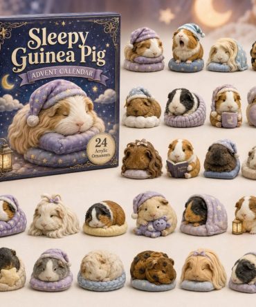 Sleepy Guinea Pig 2026 Advent Calendar — 24-Day Acrylic Charm Countdown, Cute Rodent Collectibles & Gift-Ready Set