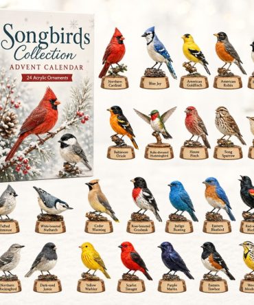 2026 Songbirds Countdown Calendar — 24-Day Acoustic Bird Acrylic Charm Set For Nature Lovers & Home Display