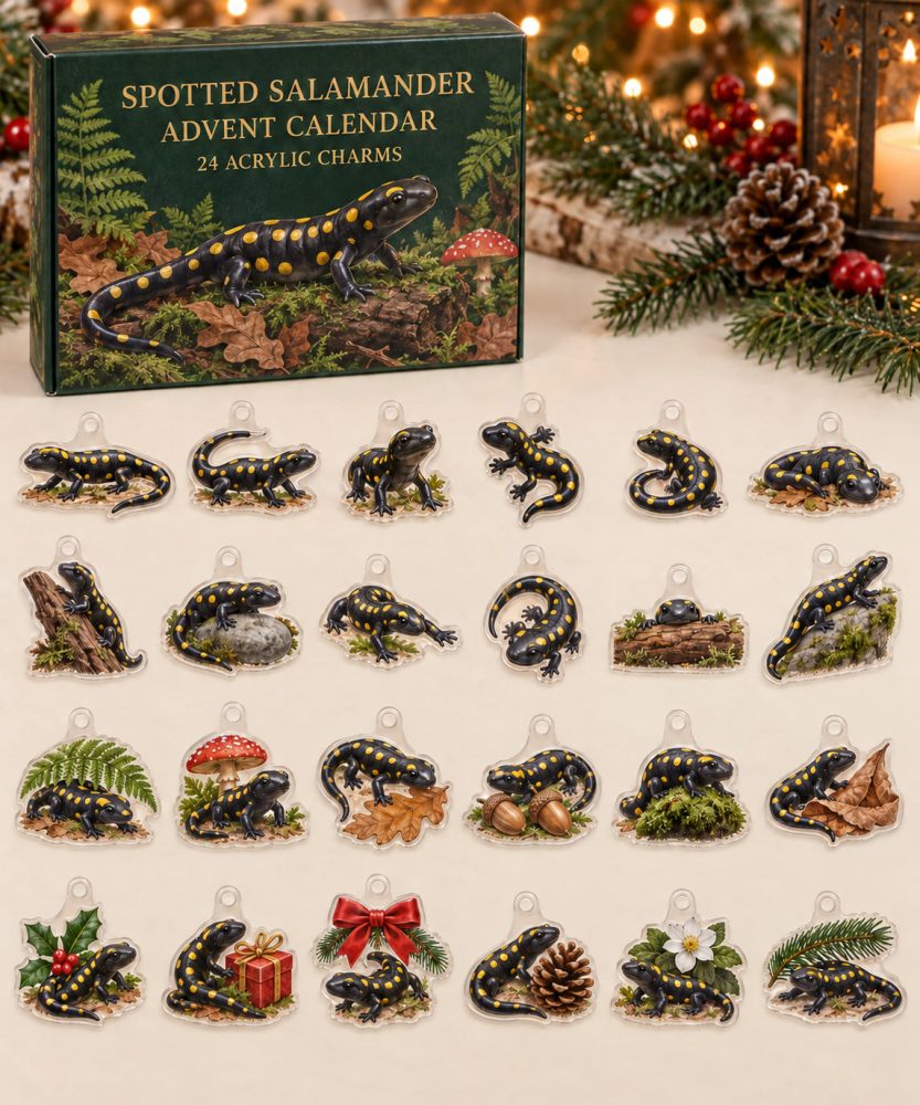 Spotted Salamander Advent Calendar - 24 Acrylic Charm Surprises, Cute Countdown Gift For Animal Lovers & Collectors