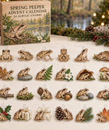 24-Day Spring Peeper Acrylic Charm Advent Calendar — Charming Amphibian Countdown Set For Spring Lovers, Diy Jewelry & Gifts