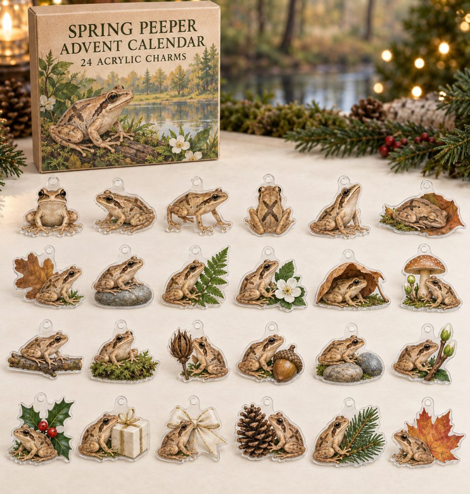 24-Day Spring Peeper Acrylic Charm Advent Calendar — Charming Amphibian Countdown Set For Spring Lovers, Diy Jewelry & Gifts