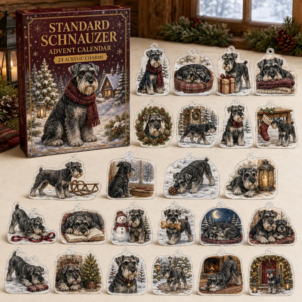 Standard Schnauzer Acrylic Charm Advent Calendar — 24 Holiday Dog Charms , Christmas Countdown Gift For Schnauzer Lovers