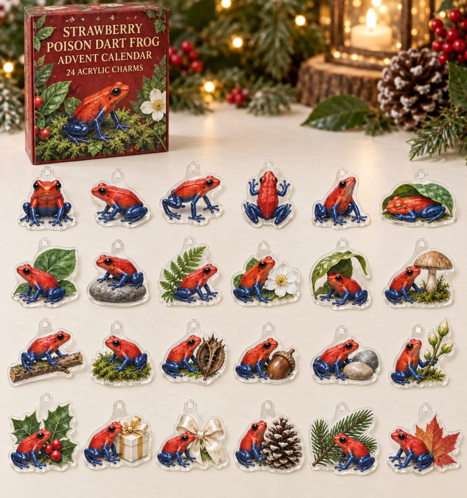 Strawberry Poison Dart Frog Advent Calendar — 24 Vivid Acrylic Frog Charms, Tropical Amphibian Countdown Gift For Collectors & Nature Fans