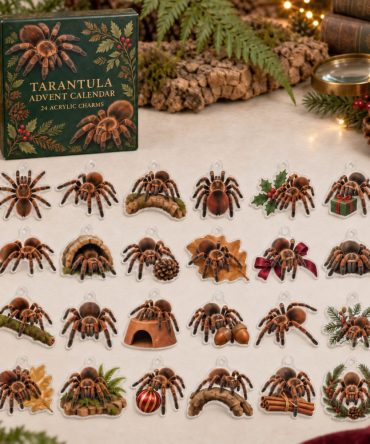 Bold Tarantula Holiday Advent Calendar — 24 Acrylic Arachnid Charms, Collectible Countdown Surprise Box For Spider Enthusiasts