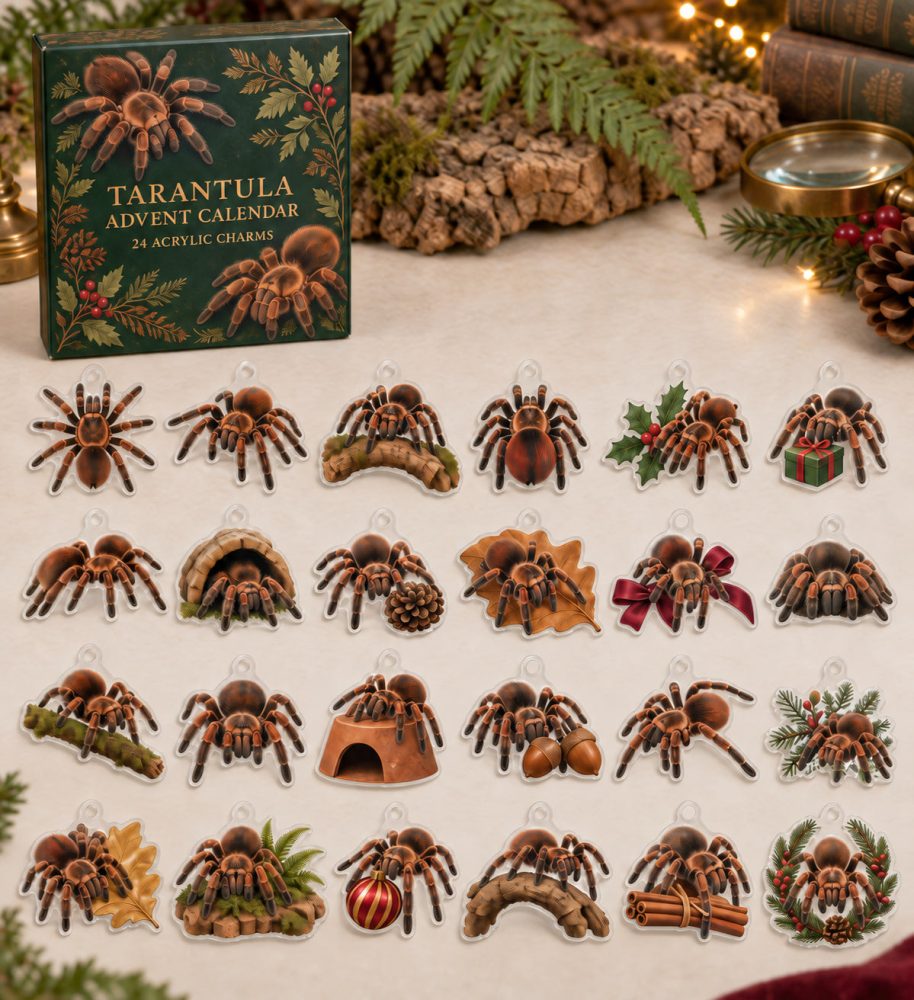 Bold Tarantula Holiday Advent Calendar — 24 Acrylic Arachnid Charms, Collectible Countdown Surprise Box For Spider Enthusiasts