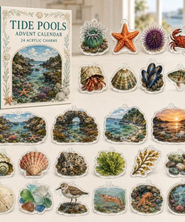 24-Day Tide Pools Charm Countdown - Coastal Acrylic Ocean Scene Advent Calendar With Mini Sea Creature Ornaments For Beach Lovers