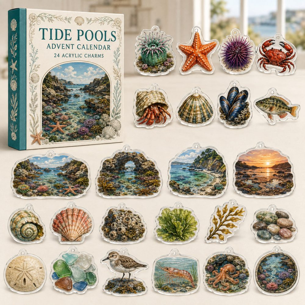 24-Day Tide Pools Charm Countdown - Coastal Acrylic Ocean Scene Advent Calendar With Mini Sea Creature Ornaments For Beach Lovers