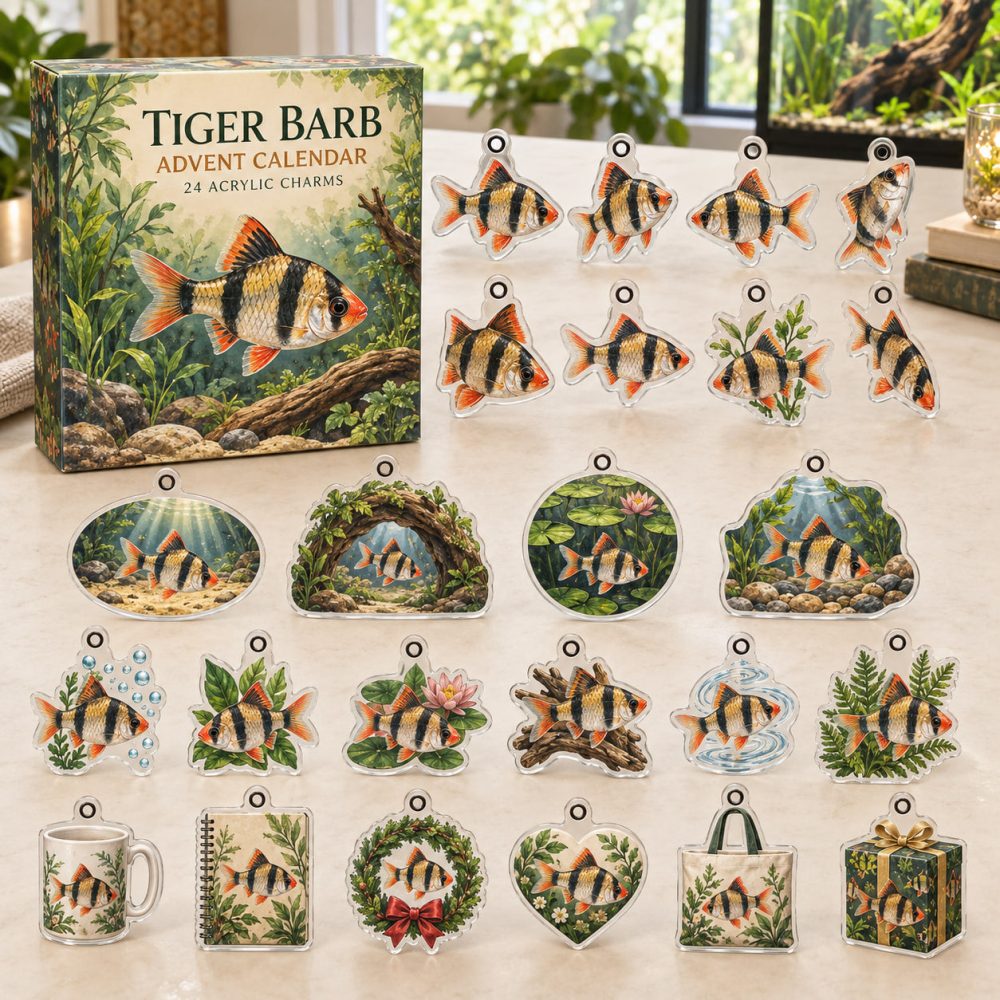 Tiger Barb Advent Surprise — 24 Bold Acrylic Charms For Fish Fans , Holiday Gift Set, Collectible Aquarium Accessories