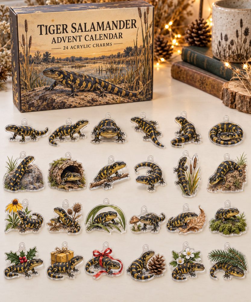 Tiger Salamander Advent Calendar - 24 Acrylic Charm Surprises, Bold Holiday Countdown Gift For Reptile & Amphibian Fans
