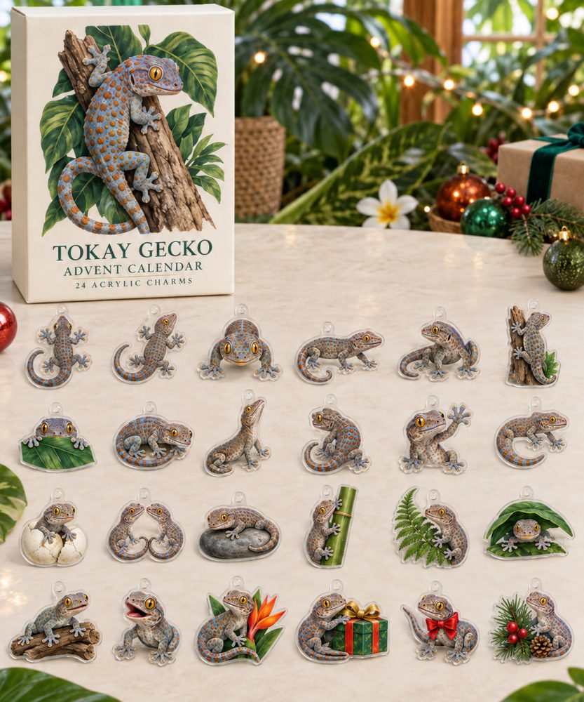Tokay Gecko 24-Day Acrylic Charm Countdown Calendar — Exotic Gecko Charm Gift Set For Reptile Fans, Crafts & Collectors