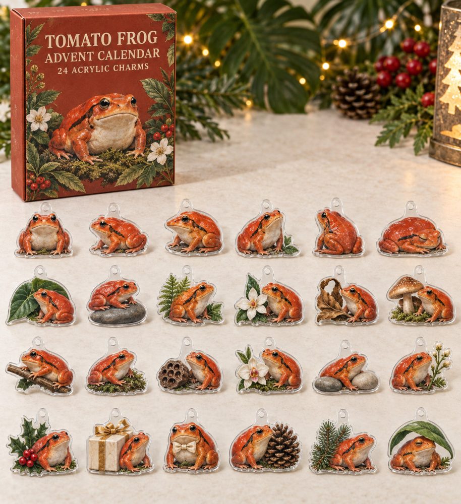 24-Day Tomato Frog Acrylic Charm Advent Calendar — Bright Amphibian Collectible Countdown Set For Gifts, Crafts & Stocking Stuffers