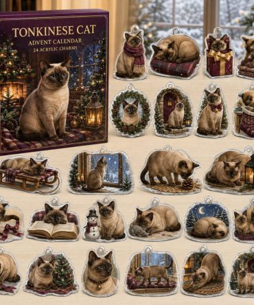 Tonkinese Holiday Advent Calendar With 24 Acrylic Charms — Stylish Seasonal Gift For Tonkinese Lovers & Collectors