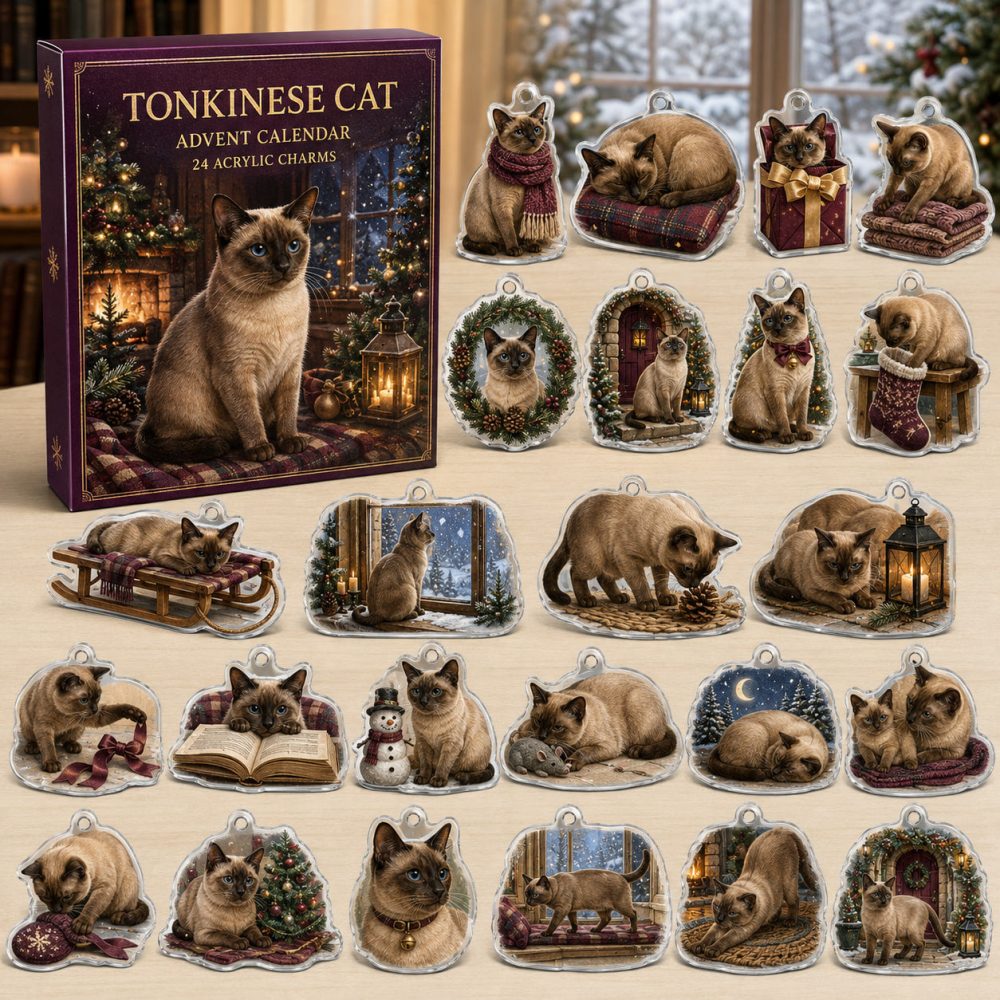 Tonkinese Holiday Advent Calendar With 24 Acrylic Charms — Stylish Seasonal Gift For Tonkinese Lovers & Collectors