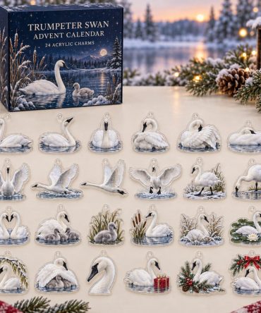 Trumpeter Swan 24-Day Acrylic Charm Countdown Calendar — Elegant Waterfowl Collectible Gift Set & Holiday Stocking Stuffer For Bird Lovers