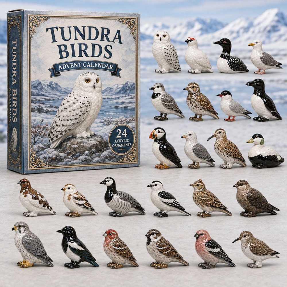 Tundra Birds 24-Day Advent Calendar 2026 - Arctic Bird Acrylic Charms, Nature-Themed Countdown Gift For Birdwatchers & Collectors