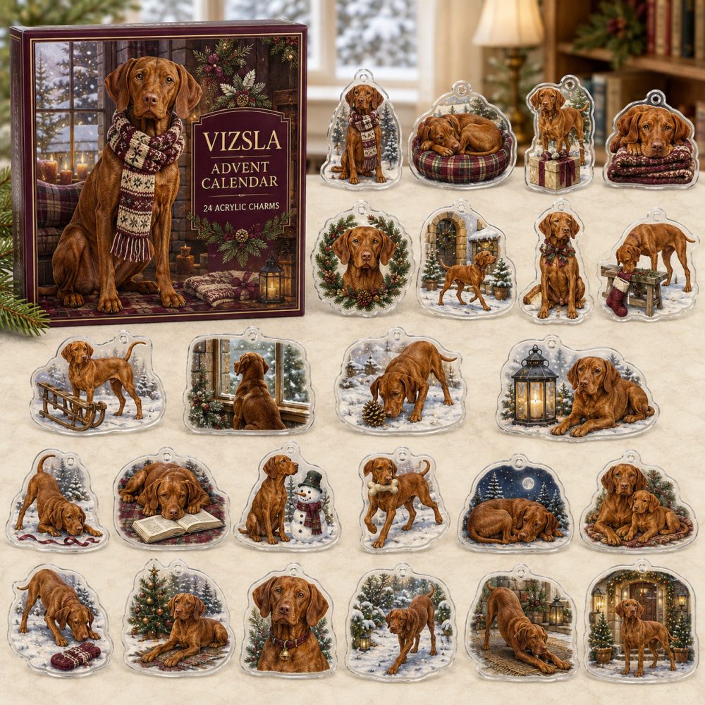 Vizsla Holiday Countdown Calendar — 24 Premium Acrylic Charms, Energetic Advent Gift For Vizsla Owners & Dog Enthusiasts