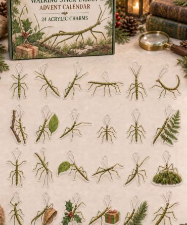 24-Day Acrylic Charm Advent Calendar — Walking Stick Insect Collection , Fun Holiday Countdown For Bug Lovers
