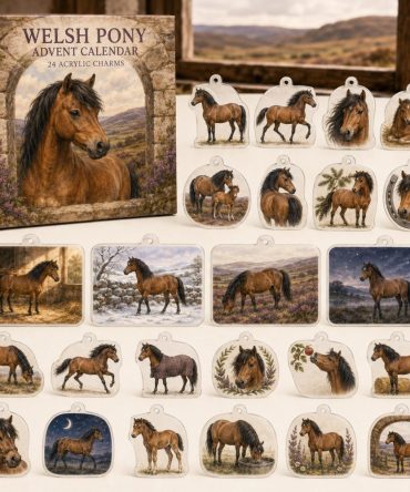 Welsh Pony 24-Day Charm Countdown — Acrylic Horse Charms Holiday Gift Pack For Pony Fans & Collectors