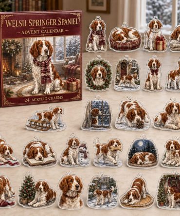 Welsh Springer Spaniel Holiday Advent Calendar — 24 Acrylic Dog Charms, Christmas Countdown Ornaments & Gift For Welsh Fans