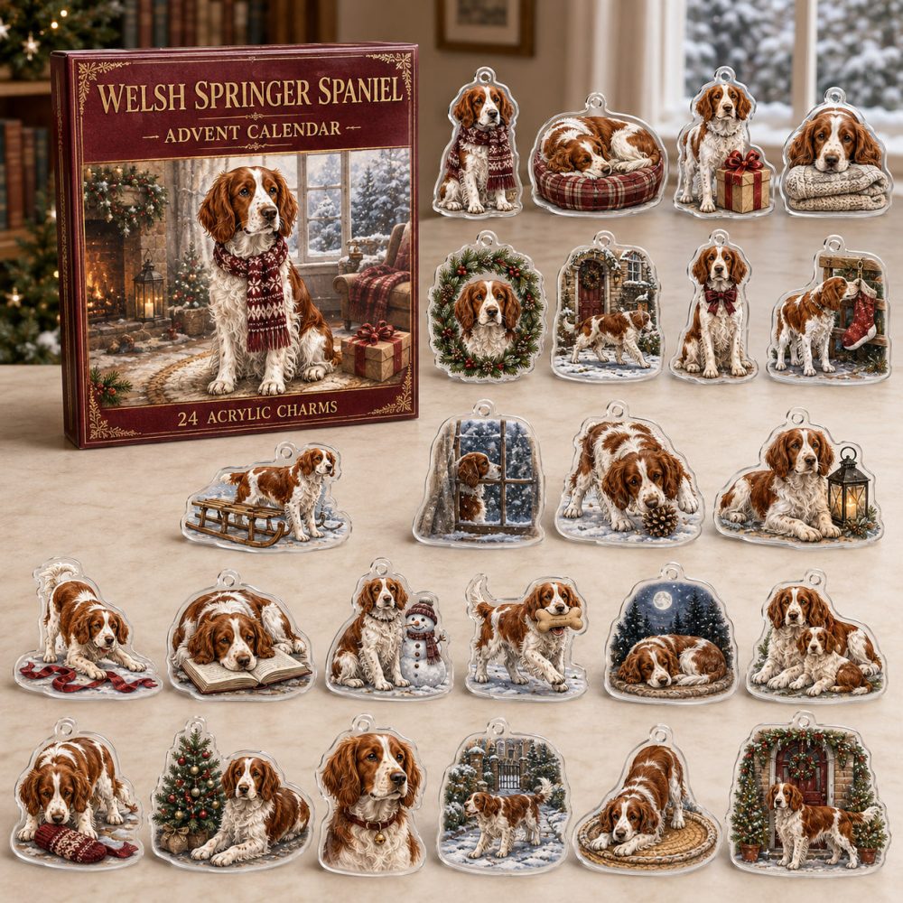 Welsh Springer Spaniel Holiday Advent Calendar — 24 Acrylic Dog Charms, Christmas Countdown Ornaments & Gift For Welsh Fans