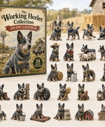 Working Heeler Collection Advent 2026 — 24 Blue Heeler Acrylic Charms & Mini Tools, Rustic Farm Dog Countdown Gift For Herding Fans