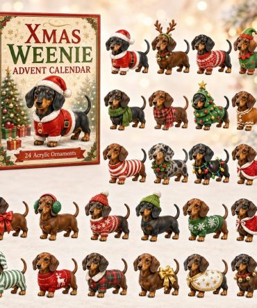 Festive Dachshund Advent Calendar 2026 — 24-Day 'Weenie' Christmas Countdown With Acrylic Charms, Cute Dog Lover Gifts